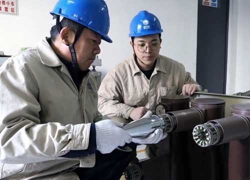 专用装卸工具快速更换10千伏开关梅花触头